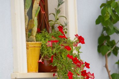 Grand Hotel Arciduca